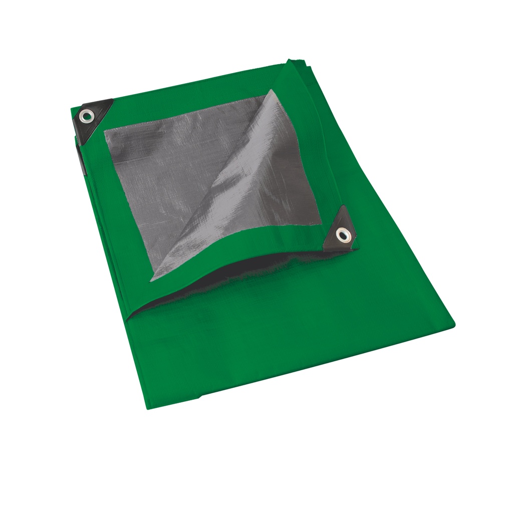 Lona de polietileno color verde con fondo plata, 3 x 3 m Foy