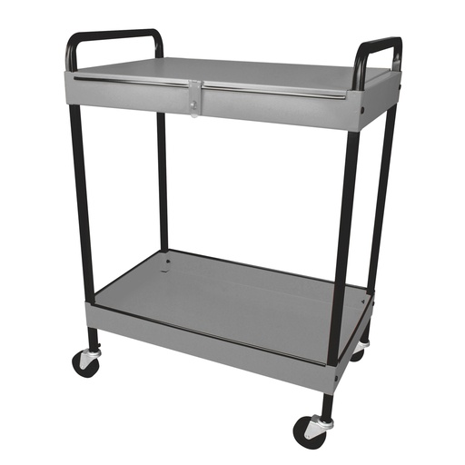 [CU2G] Carro utilitario de lámina 2 niveles 25" Surtek